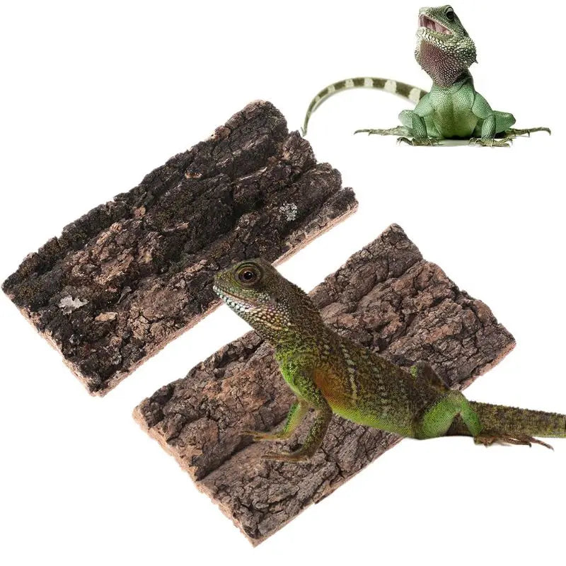 Natural Cork Bark Flat Terrarium Background - MyPetDollar.com