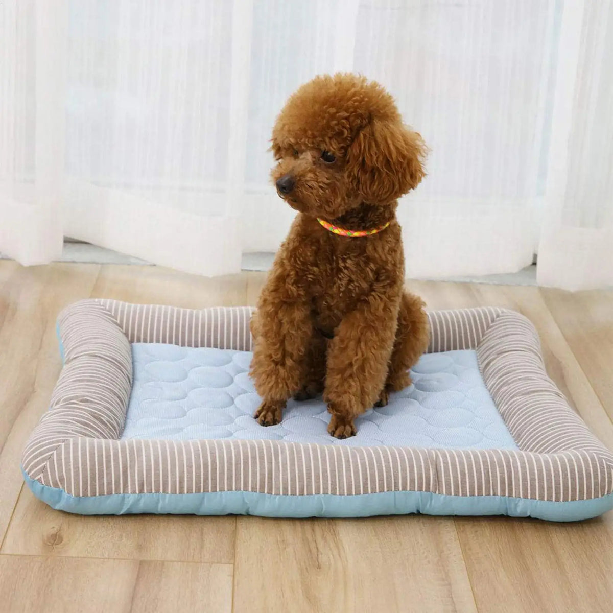 Cooling Pad Bed for Dogs Cats Puppy Kitten - MyPetDollar.com