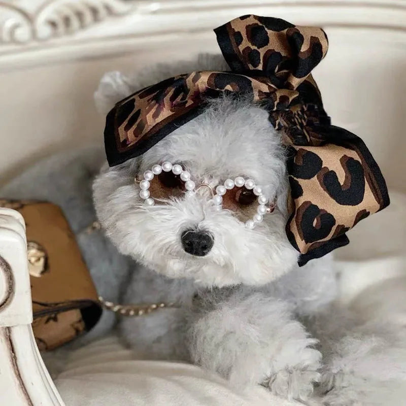 Luxury Glasses Pet Dog Pearl Sunglasses - MyPetDollar.com