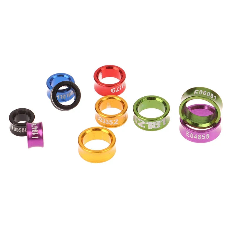 10Pcs Outdoor Bird Flying Training Ring - MyPetDollar.com