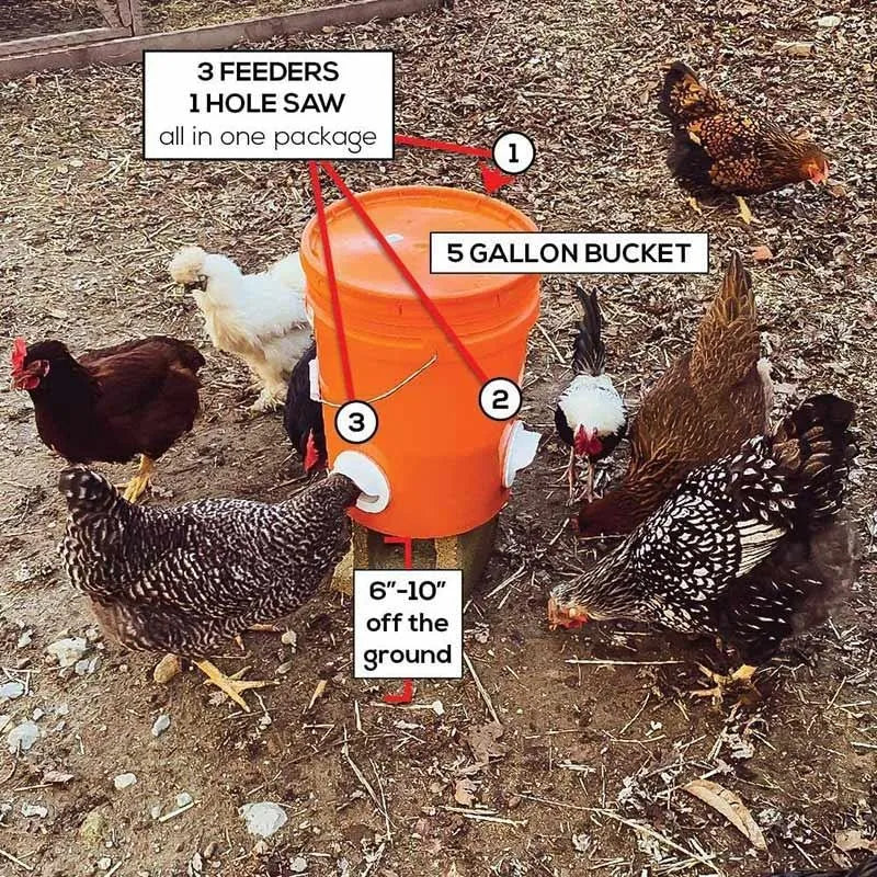 Automatic Gravity Chicken Feeder DIY - MyPetDollar.com