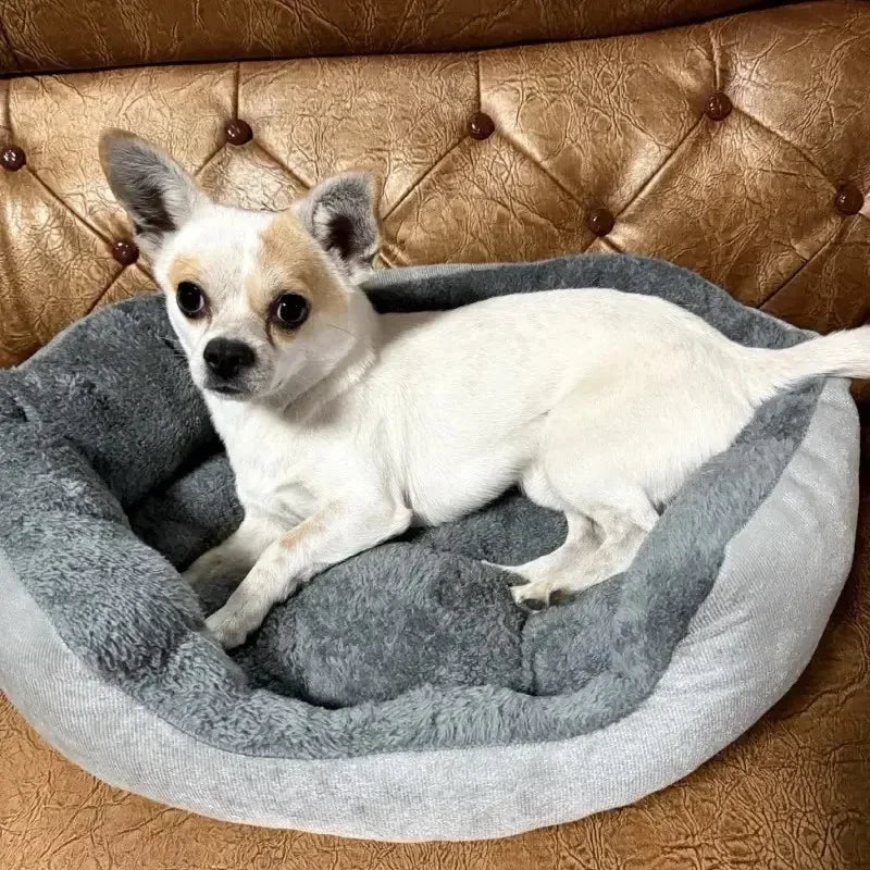 Very Soft Warm Dog Bed Pets Basket Cat House - MyPetDollar.com