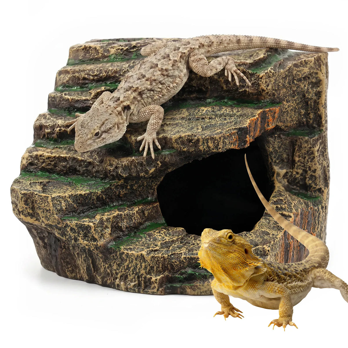 Reptile Hideout Cave Decorative Rock Basking - MyPetDollar.com
