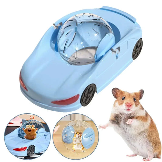 Extra Large Transparent Sports Design - MyPetDollar.com