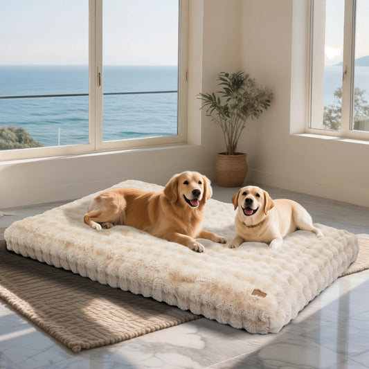 M-4XL Ultra-soft Plush Dog Bed Pet Cat - MyPetDollar.com