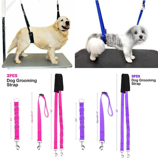 Portable Pet Traction Belt Adjustable Dog - MyPetDollar.com