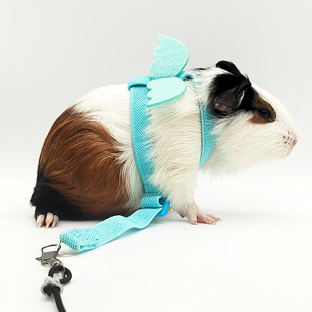 1pc Pet Parrot Bird Harness AdjustTraining - MyPetDollar.com