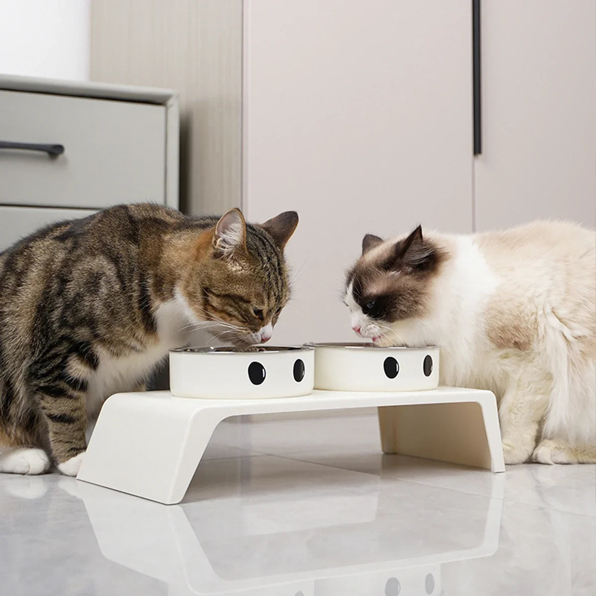 Elevated Pet Dog Feeder Bowls Raised Stand - MyPetDollar.com