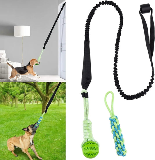 Spring Pole Dog Rope Toys, Dog Interactive - MyPetDollar.com