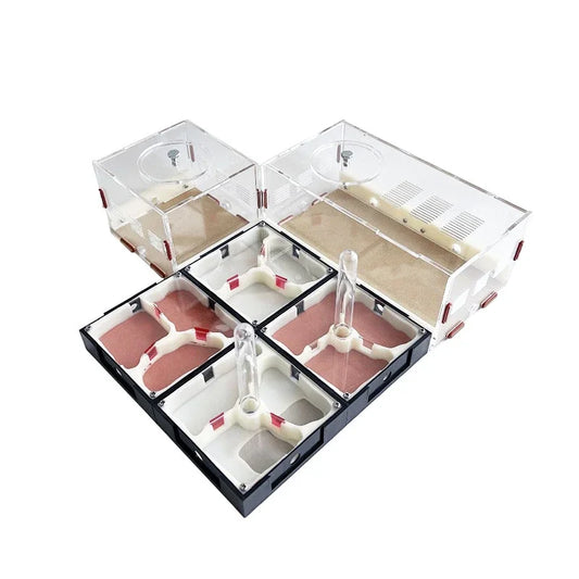 Unlimited Expansion Ant Farm Acrylic Ant - MyPetDollar.com