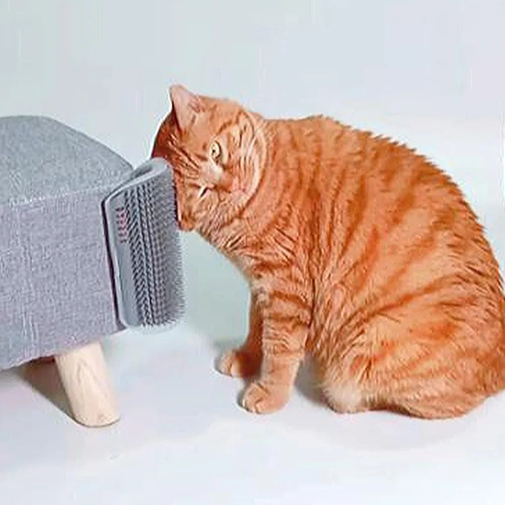 Cat Corner Scratcher Self Groomer with - MyPetDollar.com