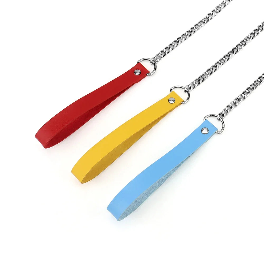 Leather Dog Leash Metal Alloy Pet Dog Leash - MyPetDollar.com
