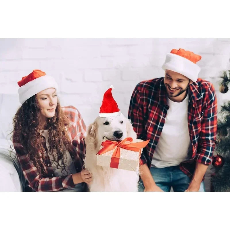 Christmas Pet Santa Hat Red Plush Soft - MyPetDollar.com