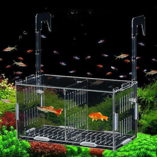 Aquarium Ornamental Fish Breeding Box Fish - MyPetDollar.com