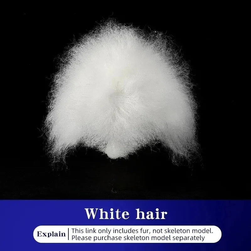 Pet Grooming Teddy Pet Simulated Head - MyPetDollar.com