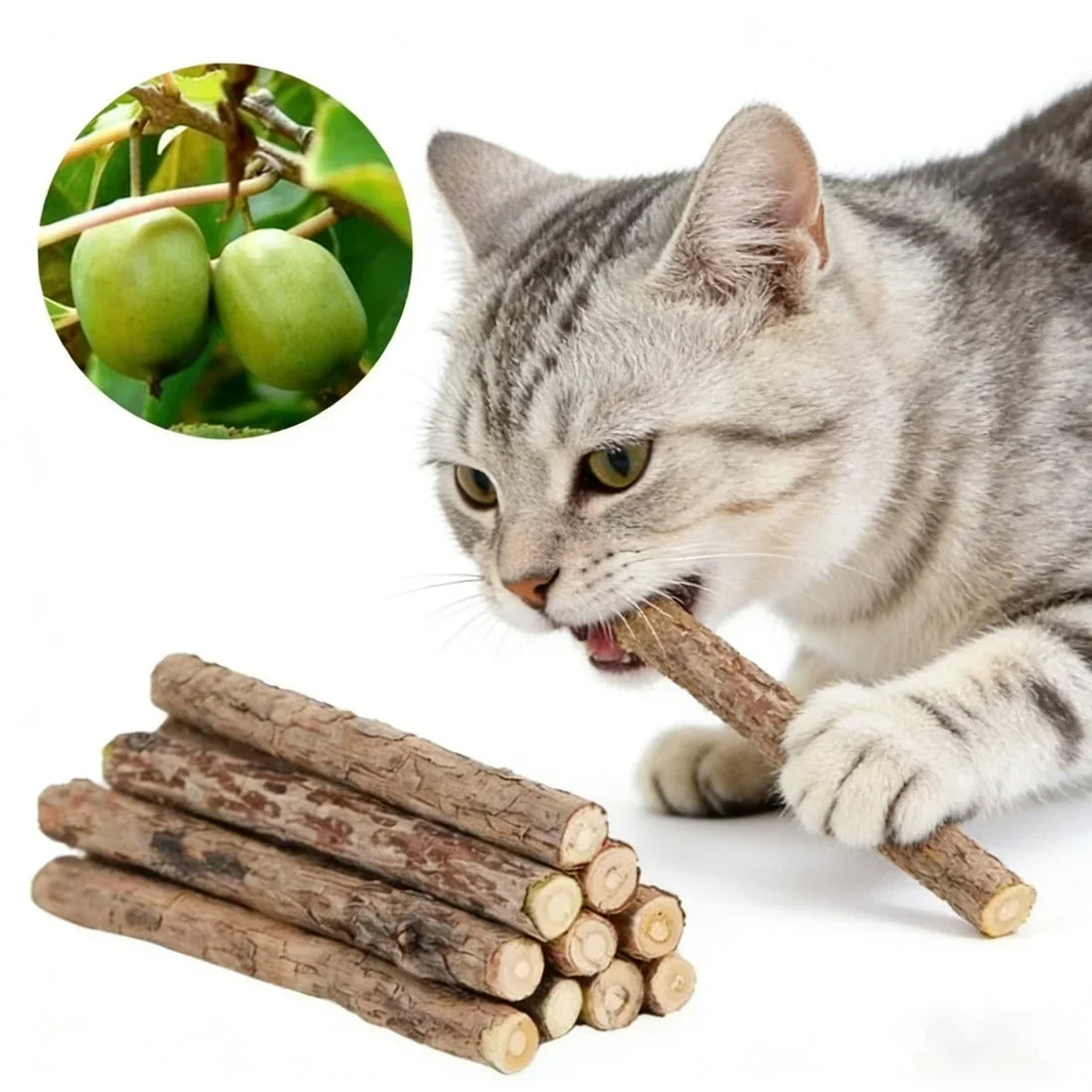 Natural Silver Vine Chew Sticks Catnip Molar - MyPetDollar.com