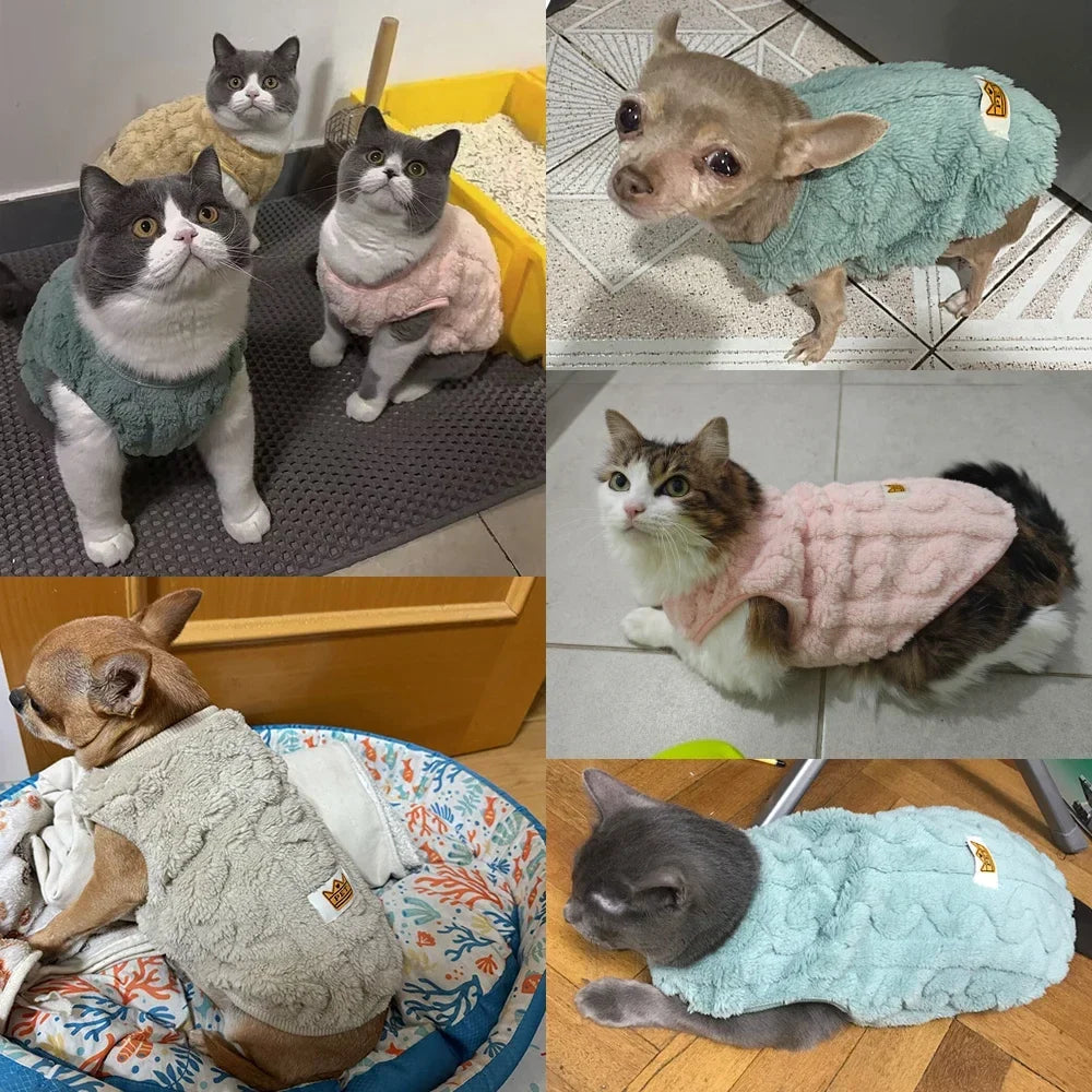Autumn Winter Pet Cat Clothes Soft Fleece - MyPetDollar.com
