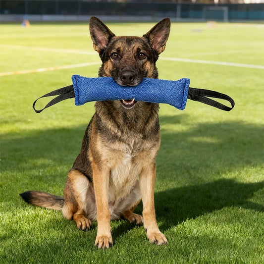 Dog Tug Toy Jute Bite Pillow Durable - MyPetDollar.com
