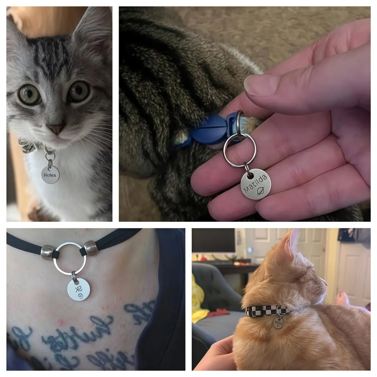 Custom Engraved Pet ID Tag - 12mm Tiny - MyPetDollar.com
