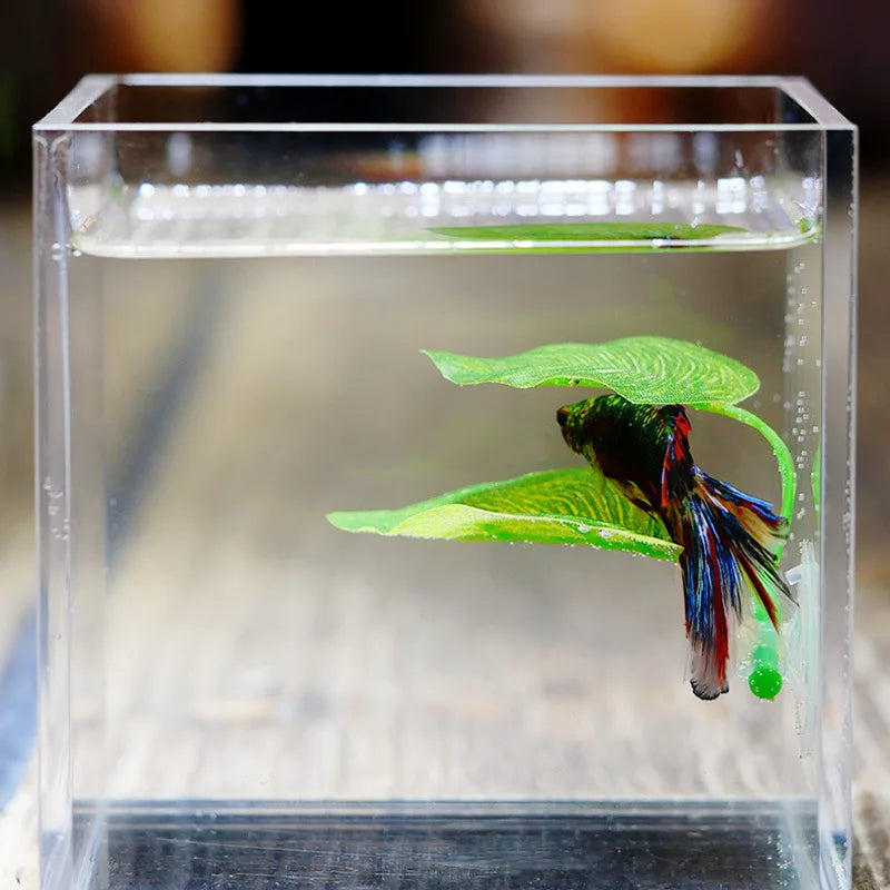 Betta Fish Rest Aquarium Leaf Plants - MyPetDollar.com