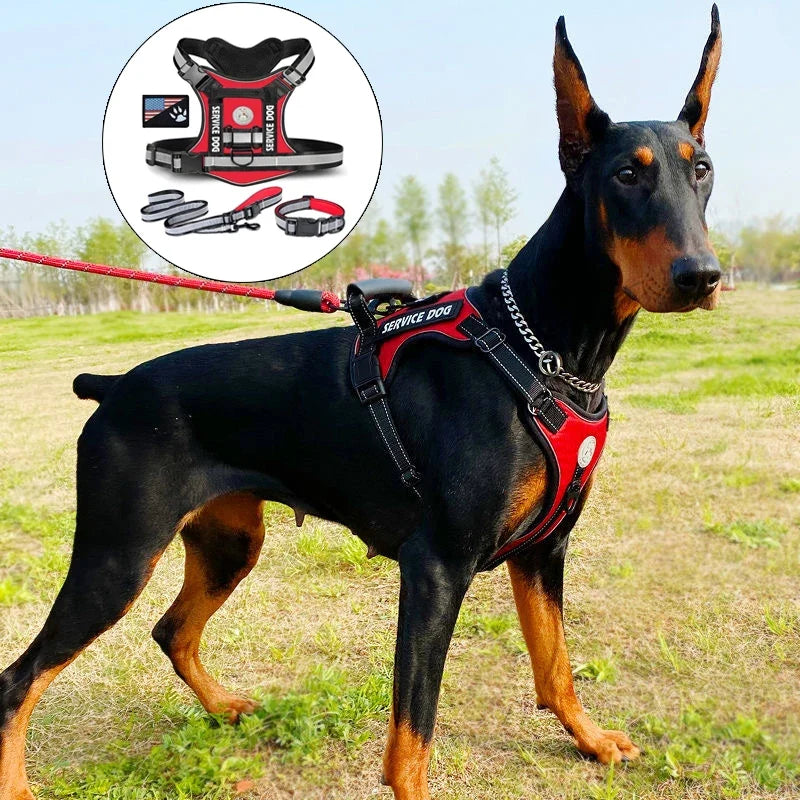 Doberman Dog Harness Collar Leash Set - MyPetDollar.com