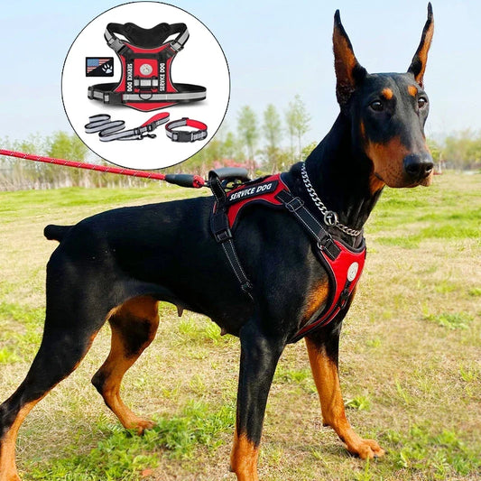Doberman Dog Harness Collar Leash Set - MyPetDollar.com