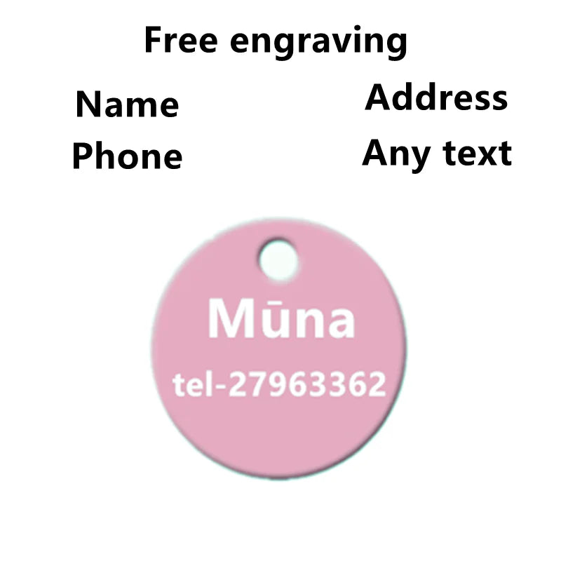 2pcs Free Laser Engraving Pet Dog ID Tag Cat - MyPetDollar.com