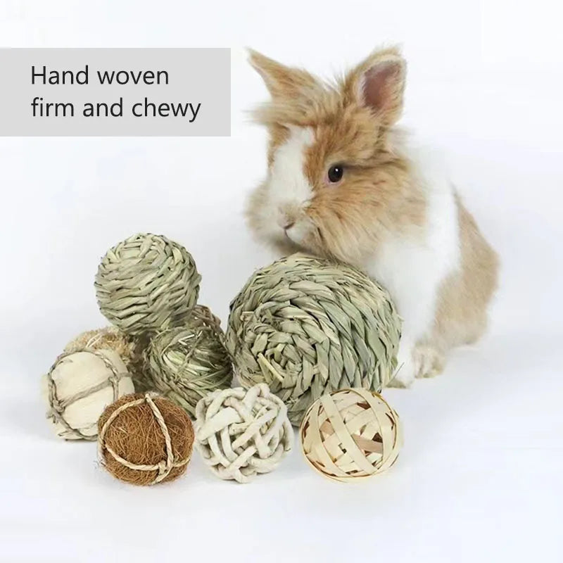 4/5pcs Chewing Braided Ball Guinea Pig - MyPetDollar.com