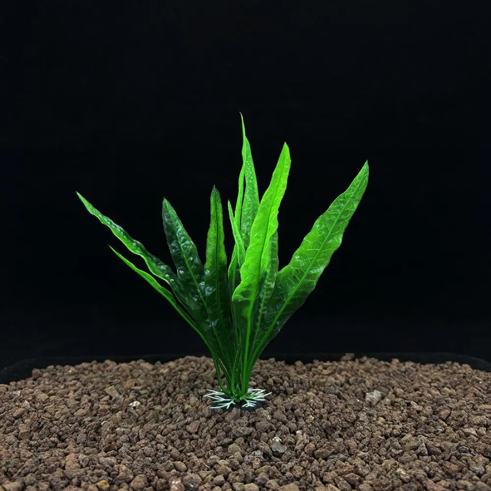 Artificial Plastic Aquarium Plants Seaweed, - MyPetDollar.com