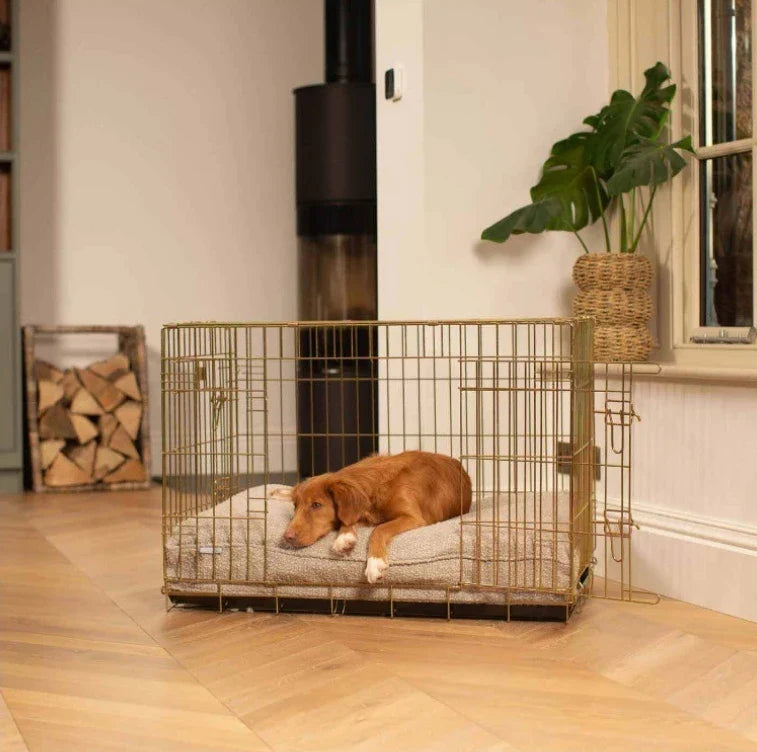 (Excluding cage) Thick Dog Cage Bed Mat Soft - MyPetDollar.com