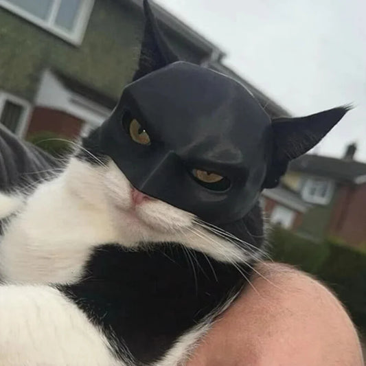 Cat Avenger Mask Black Bat Halloween Cosplay - MyPetDollar.com