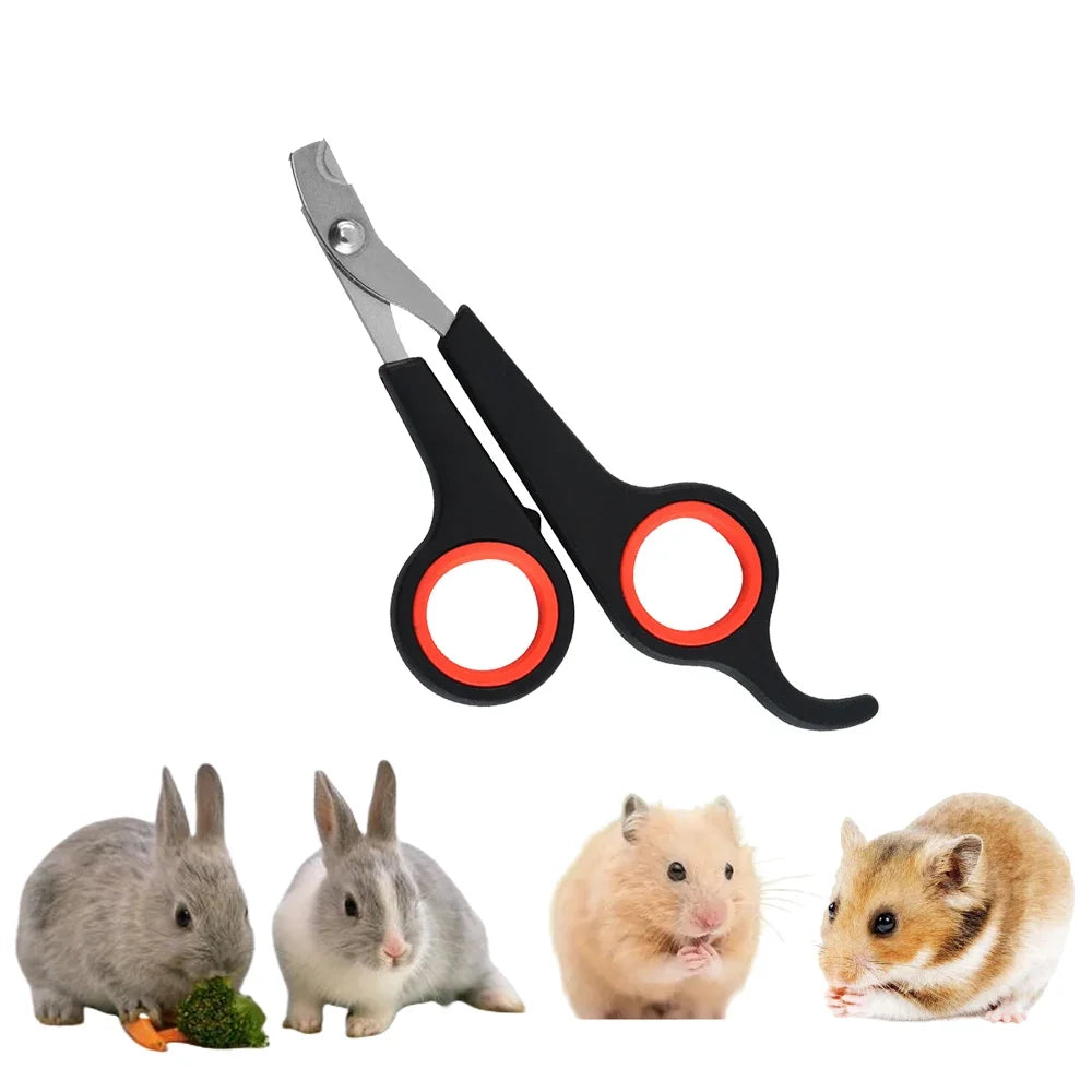 Pet Nail Claw Grooming Scissors Clippers for - MyPetDollar.com