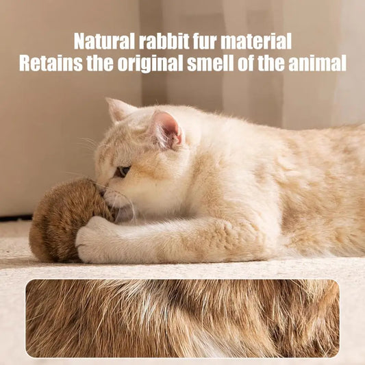 Cat Toy Ball Bunny Kick Cat Toy Furry Ball - MyPetDollar.com