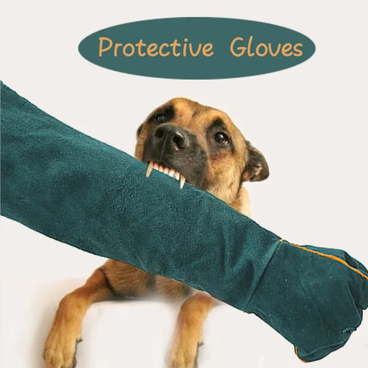 Green Thick Leather Anti-Bite Anti-Scratch - MyPetDollar.com