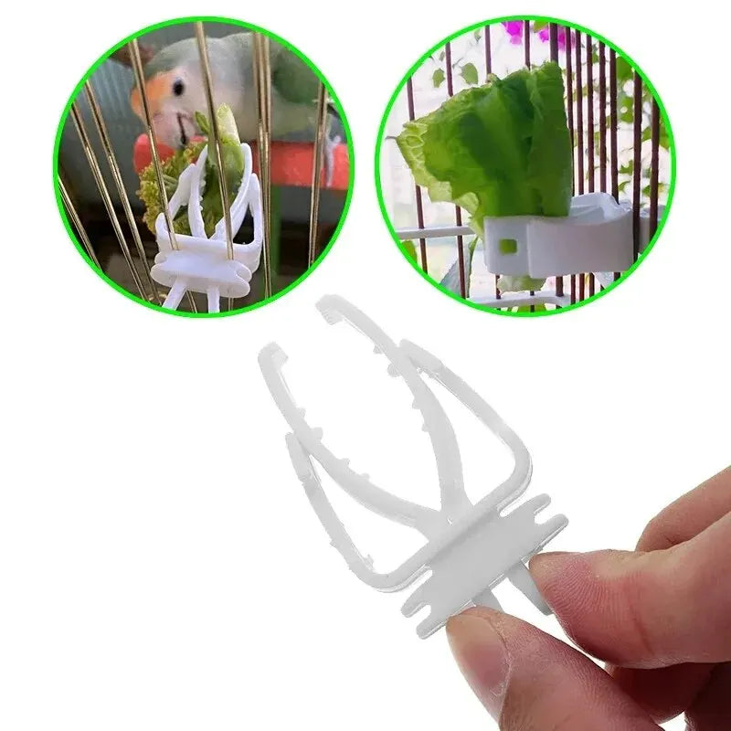 Cute Small Pet Bird Food Holder Parrot - MyPetDollar.com