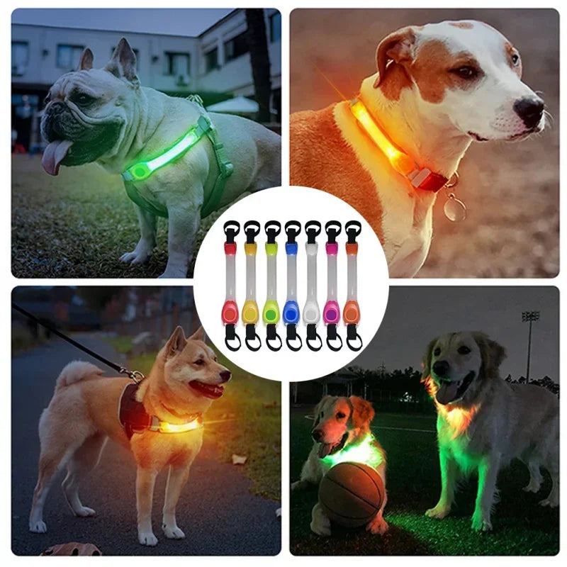 Outdoor-Ready LED Light Strip Night - MyPetDollar.com