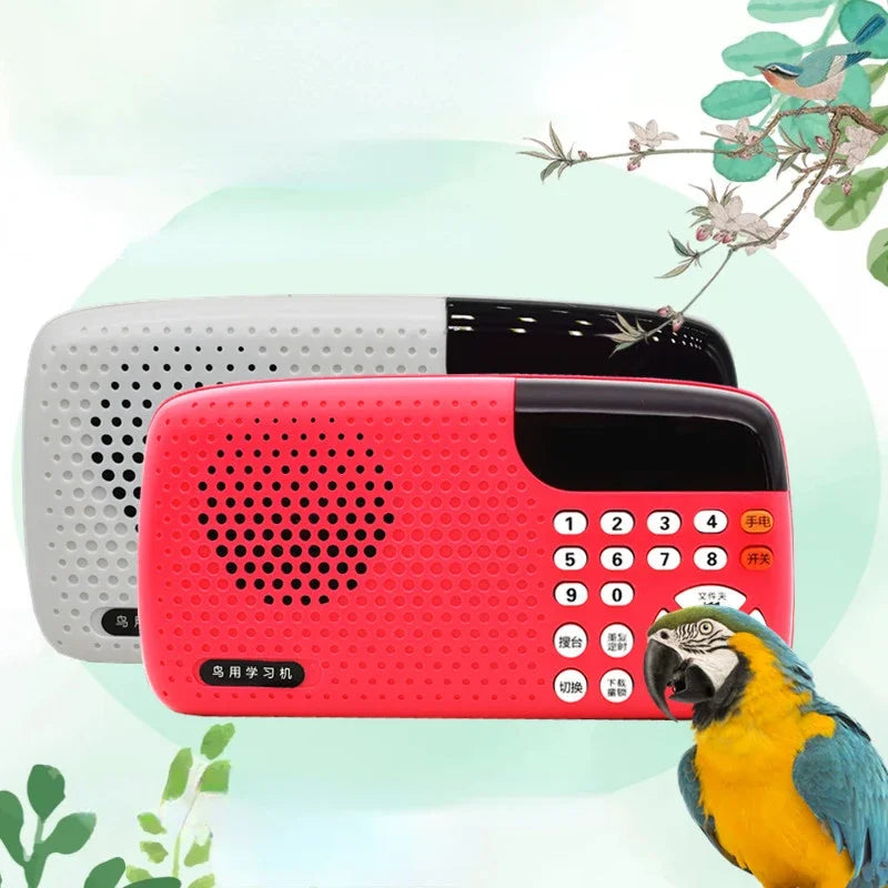 Bird Learning Ma, Training Player, Myna - MyPetDollar.com