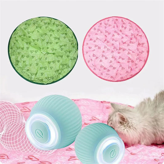Cat Hunting Mats Cat Ball Hunting Exercise - MyPetDollar.com
