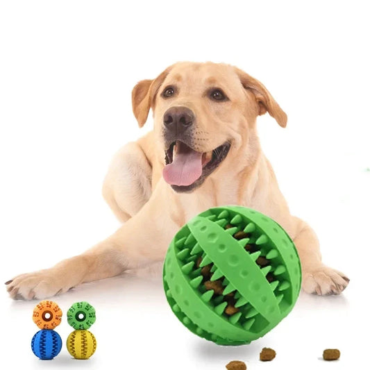 New Pet Dog Toy Interactive Rubber Balls for - MyPetDollar.com