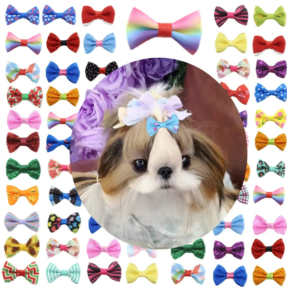Set Cute Pet Bows Small Dogs Grooming - MyPetDollar.com