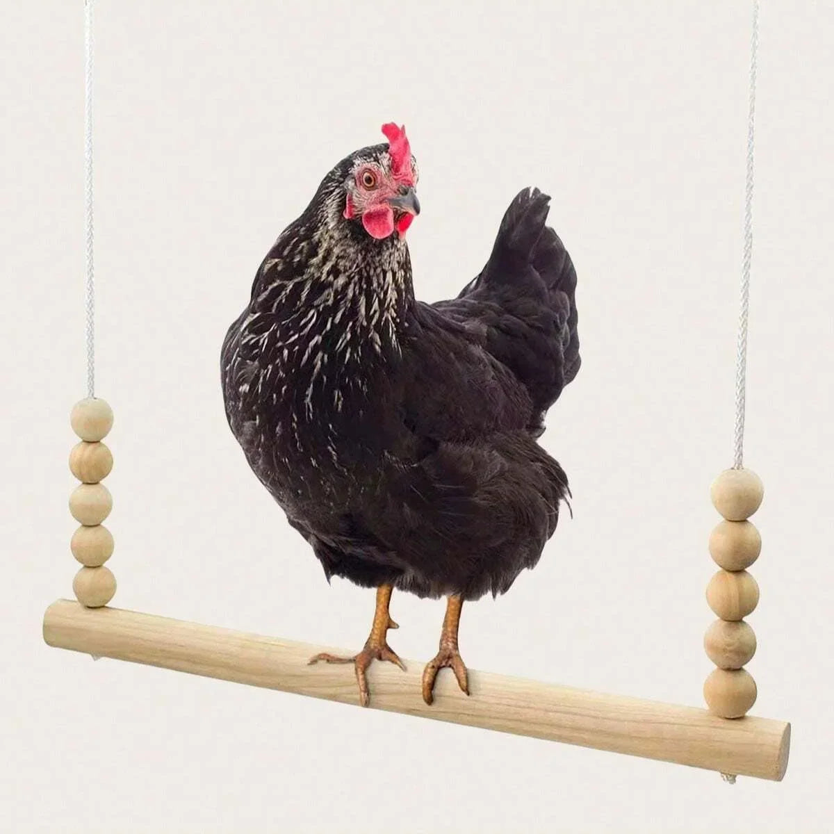 1pc-Parrot toy, pet chicken, rooster swing - MyPetDollar.com