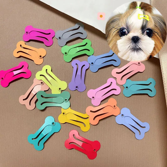 5Pcs/lot Cute Dog Hairpin Colorful Bone - MyPetDollar.com