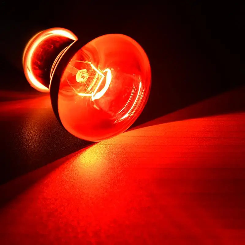 220-240V E27 Poultry Heating Bulb 100/75/60W - MyPetDollar.com