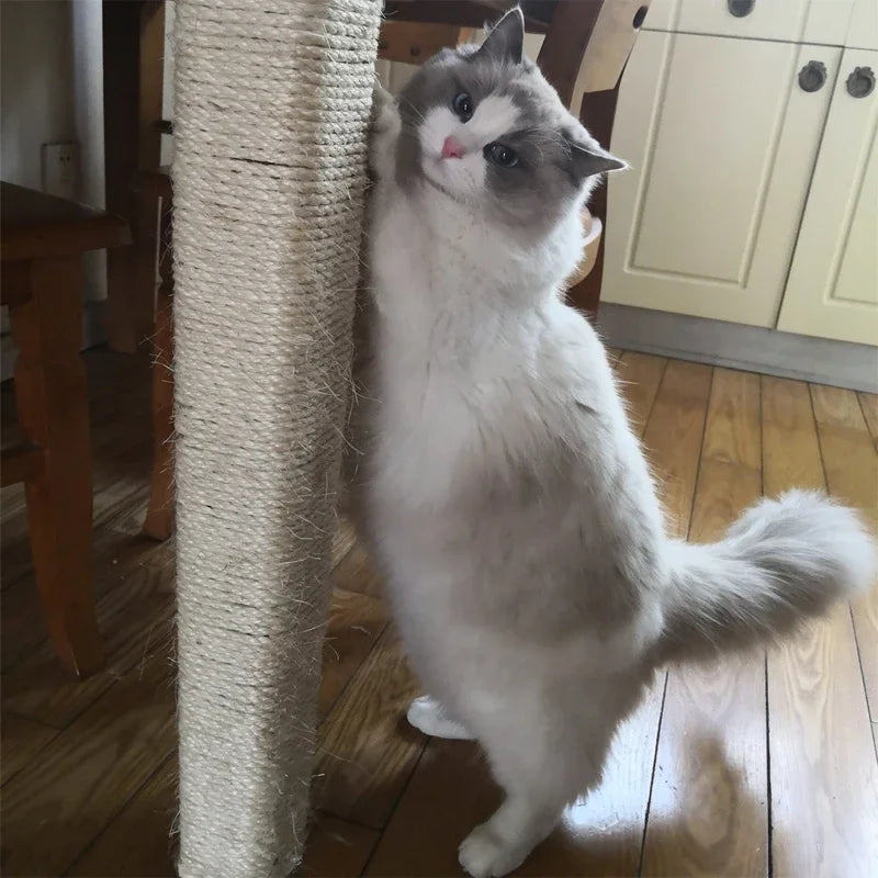 Natural Sisal Rope for Cat Tree Cat - MyPetDollar.com
