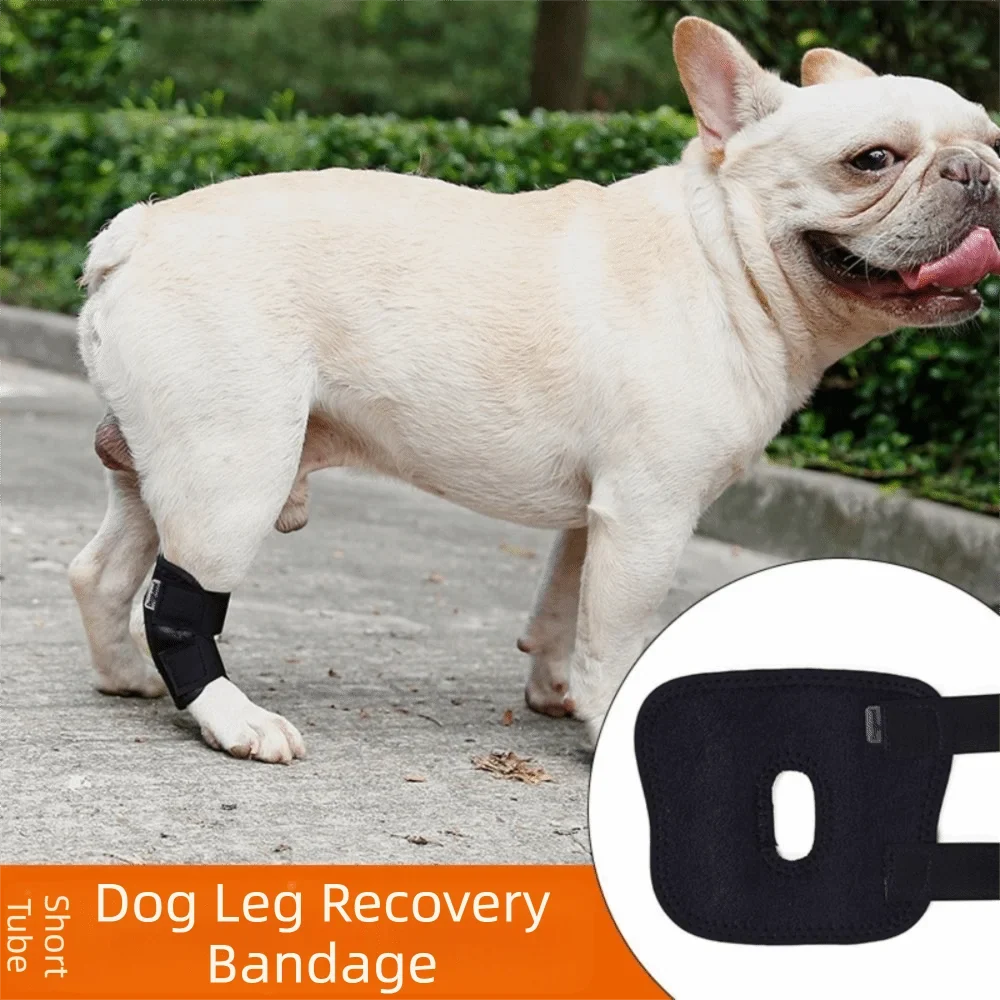 Updated Protects Bandage Dog Protector Cover - MyPetDollar.com
