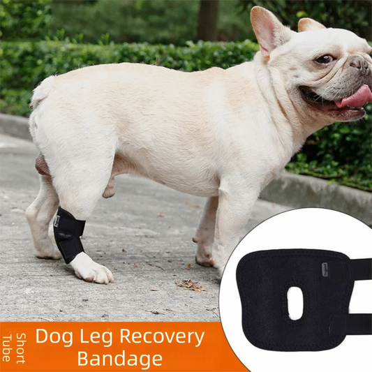 Updated Protects Bandage Dog Protector Cover - MyPetDollar.com