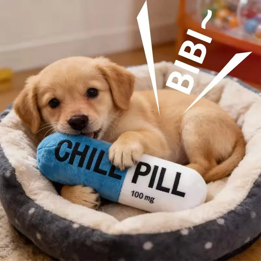 Pet Pill Capsule Plush Dog Chew Toy With - MyPetDollar.com