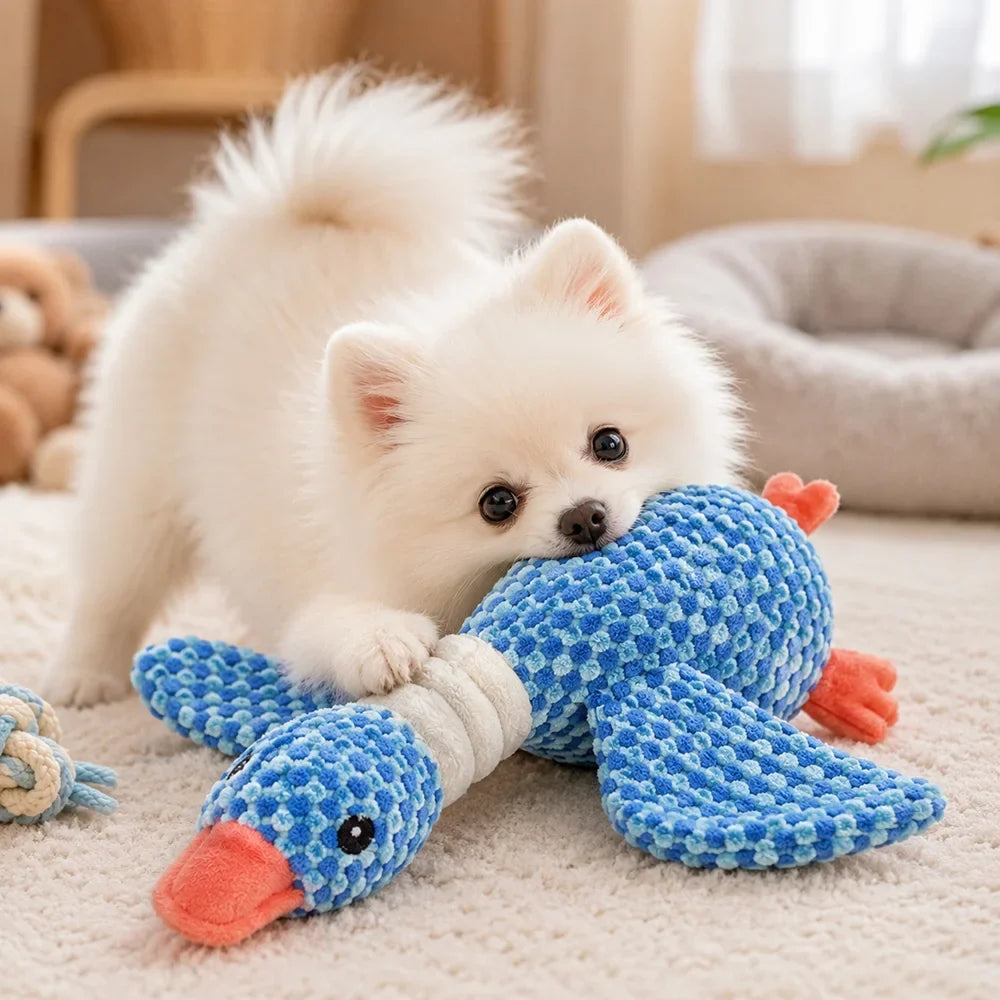 Pet Plush Toy with Squeaker Cat Dog Puzzle - MyPetDollar.com