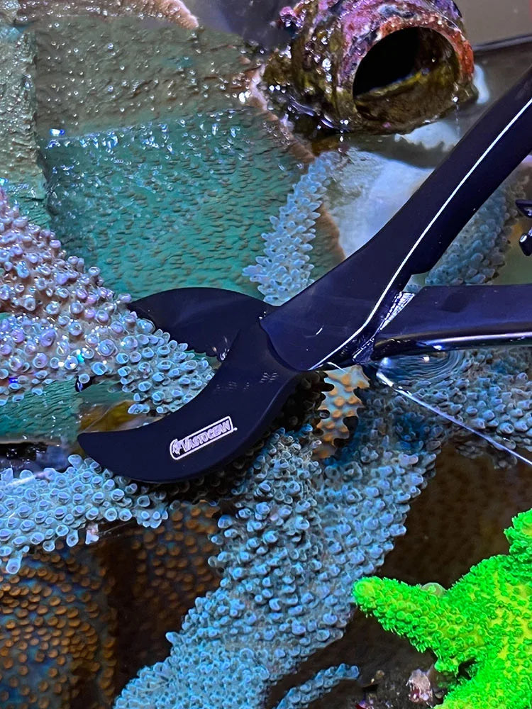 VASTOCEAN Coral Scissors Seawater Fish Tank - MyPetDollar.com