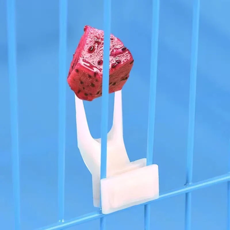 5Pcs Fruit Fork Parrot Pet Bird Plastic Food - MyPetDollar.com